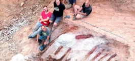 Portugalijoje atrastos didžiausio Europoje dinozauro liekanos