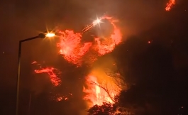 Madeira kovoja su miškų gaisrais