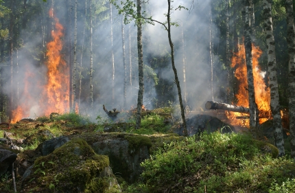 Kovojančią su alinančiais karščiais Portugaliją krečia ir didelis miško gaisras 